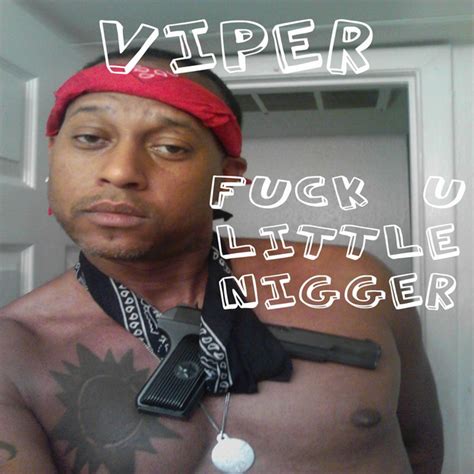 Fuck U Little Nigger Album By Viper Spotify