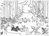 Pages Forest Fawns Does Coloring Color sketch template