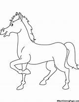 Handsome Horse Coloring sketch template