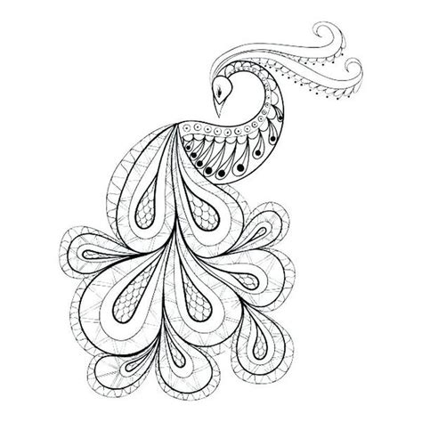 awesome peacock coloring pages ideas peacock pictures peacock