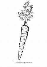 Karotte Ausmalbild Ausmalen Ausdrucken Malvorlagen Gemüse Gemuese Ostern Getreide Lebensmittel Karotten Obst Besuchen sketch template