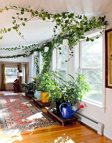 bridge     show nytimescom house plants indoor plants indoor design