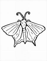 Moth Coloring Kids Adults Coloringbay sketch template