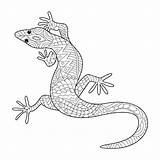Gecko Coloring Pages Lizard Adults Printable Monitor Kids Mandala Drawing Leopard Vector Book Bestcoloringpagesforkids Geckos Pattern Color Illustration Tattoo Easy sketch template