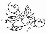 Sebastian Coloring Pages Printable Mermaid Little Disney Flounder sketch template