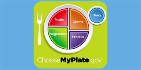 cornell cooperative extension myplate learn   eat healthier