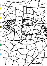 Zahlen Englisch Malen Papagei Vorlage Vorlagen Farben Colorir Malvorlagen Numeros Malvorlage Parrot Hellokids Ausmalbild Colorindo Numbers Papagaio Pelos Nummern Colours sketch template