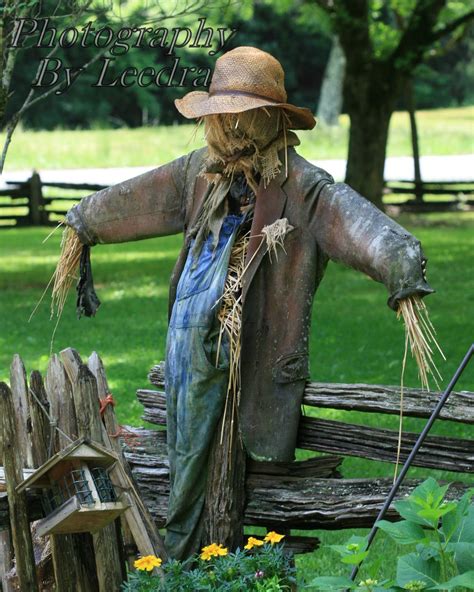 Scarecrow Scarecrow Garden Plants