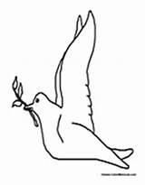 Dove Coloring Pages Branch sketch template