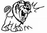 Lion Clipart Clip Roaring Roar Cartoon Lions Cliparts Face Hungry Top Medieval African Clipartix Library Clipartmag Lioness Find Clipartbest Clipground sketch template