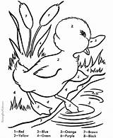 Coloring Duck Easter Pages Color Number Numbers Kids Pond Printables Printable Life Colouring Sheets Ducky Spring Print Bunny Visit Worksheets sketch template