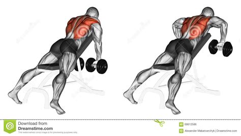 Exercising Incline Bench Two Arm Dumbbell Row Download From Over 62