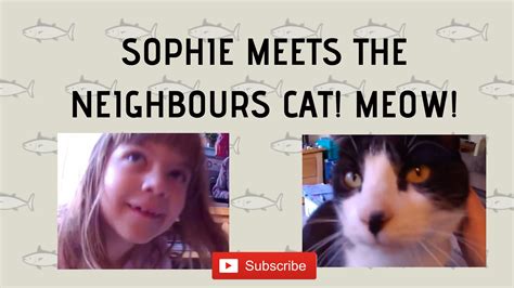 Check Out Sophie S Cat Video Where She S Meets The Neighbours Cat