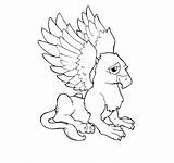 Coloring Pages Gryphon Printable Griffin Getcolorings Reduced Griffon sketch template