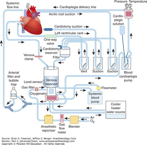 cardiopulmonary bypass overview anesthesiology core review part  advanced exam