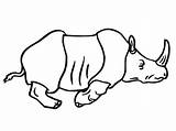Rinoceronte Selvagem Colorironline Correndo Indiano Rhino sketch template