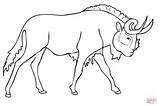 Wildebeest Gnu Coloring Pages Color Printable Realistic Blue Online Supercoloring Antelope Categories sketch template