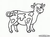 Vaca Vacas Pintar Toros Bueyes Infantiles Toro sketch template