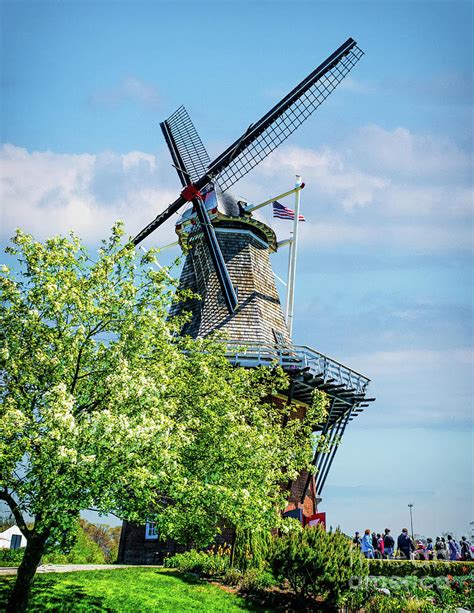 de zwaan windmill photograph  nick zelinsky