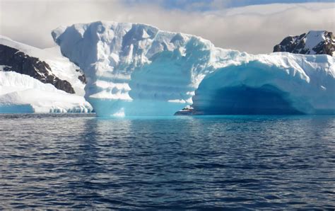 antarctica cruises ships tours