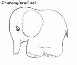 Kids Elephant Draw Drawing Clipart Pencil Beginners Library Drawingforall sketch template