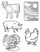Meat Coloring Pages Protein Food Preschool Animals Color Group Printable Getcolorings Book Harvest Week Getdrawings Print sketch template