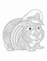 Pigs Relieving Zoomer Cliquer sketch template