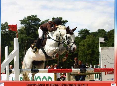 centre equestre de buzenval résultats