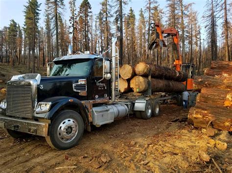 freightliner coronado  sd logging truck  option
