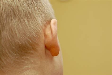 pimple  ear  ear canal  ear     rid pop  american celiac