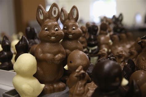 chocolate easter bunnies hollow