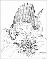 Dimetrodon Coloring Pages Dinosaur Grandis Avancna Bw Dinosaurs Color Thanksgiving Deviantart Coloringpagesonly Specials sketch template