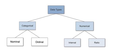 data types  statistics data types   important concept
