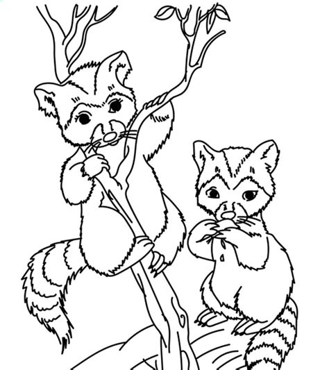 top   printable wild animals coloring pages
