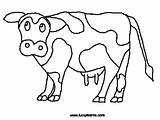 Cow Coloring Pages Cows Color Moo Clack Click Type Gif Kids Cliparts Fil Chick Print Google Clipart Drawing Animal Pic sketch template