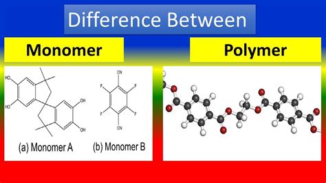 list  polymers  monomers  xxx hot girl