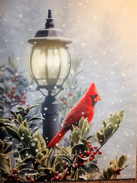 christmas cardinal  holly christmas art christmas paintings