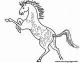 Appaloosa Horse sketch template