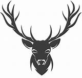 Deer Clipart Stencil Elk Transparent Moose Antlers Drawing Stag Silhouette Horns Clip Antler Svg Background Skull Face Webstockreview Animals Library sketch template