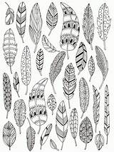 Coloring Feathers Popular sketch template