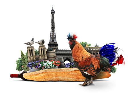 origin french cock national symbol nude pics