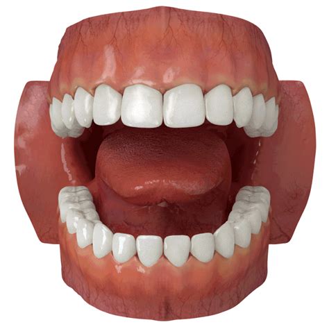 Teeth Album On Imgur