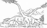 Brachiosaurus Barosaurus Gallimimus Hypselosaurus Colorare Brachiosauro Landschaft Ausmalen Dinosaurier Dinosaurs Malvorlage Dinosaurio Dinos Realistic Umano Disegno sketch template