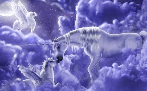 unicorns magical creatures wallpaper  fanpop