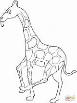 Giraffa Disegno Corre Disegnare Ausmalbild sketch template