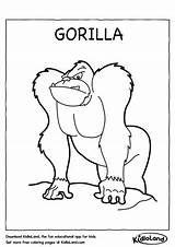 Gorilla Coloring Worksheets Kidloland Printable sketch template