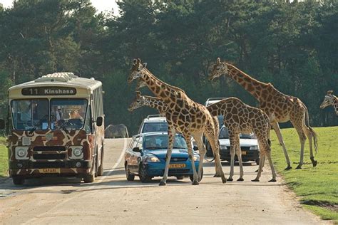 op safari dierentuin brabant familie uitje  kids eindhoven