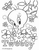 Coloring Tweety Pages Flowers Bird Flower Butterfly Printable Baby Cool Colouring Surrounded Butterflies Books Beautiful Popular Coloringhome Library Clipart Print sketch template