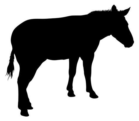 donkey animal silhouette royalty  stock image storyblocks