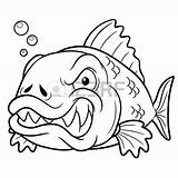 Fish Angry Cartoon Coloring Outline Fangs Vector Stock Illustration 62kb 450px Drawing Sea Royalty sketch template